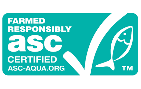 ASC Logo. Illustration