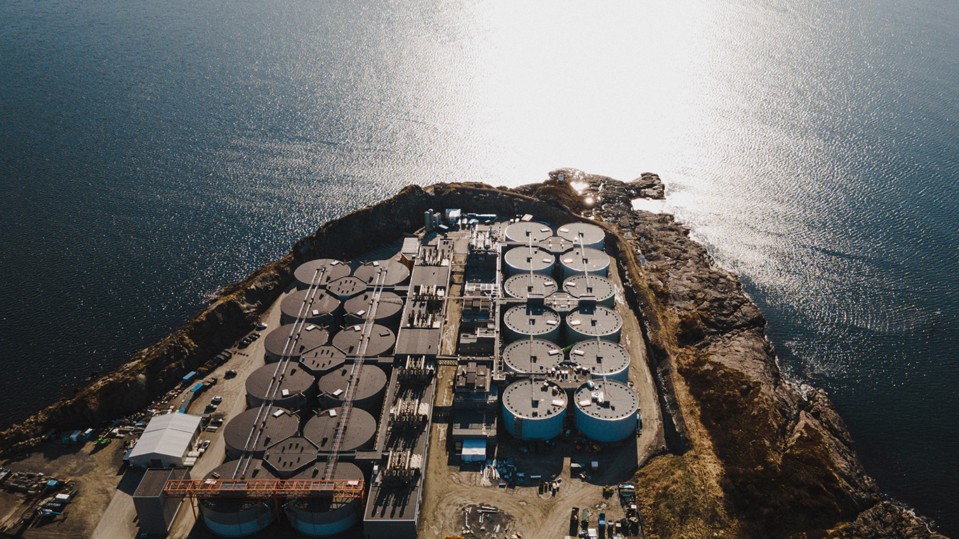 Salmon Evolution at Indre Harøy 2026. Photo