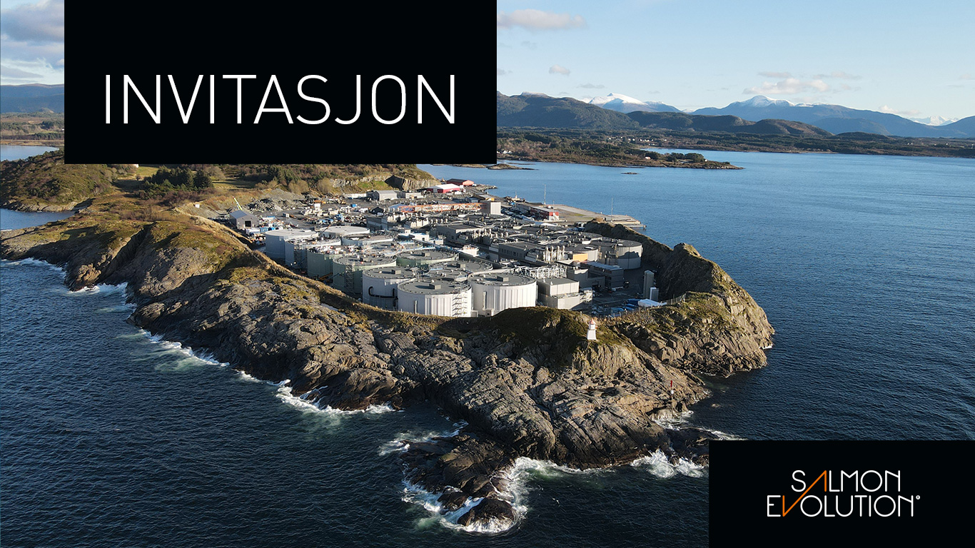 Invitasjon. Photo